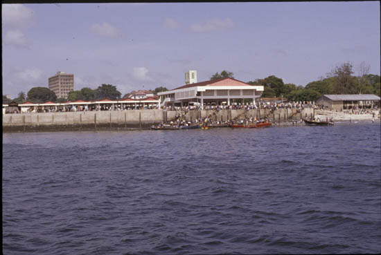 TAN02137