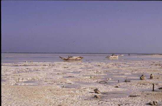 TAN02180