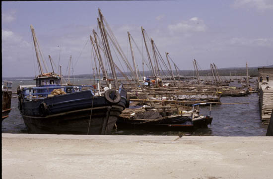 TAN02227